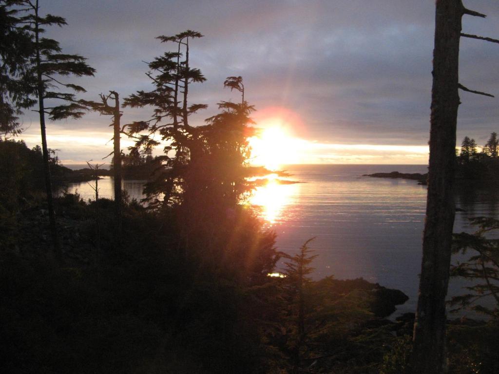 Reef Point Oceanfront Bed And Breakfast Ucluelet Room photo